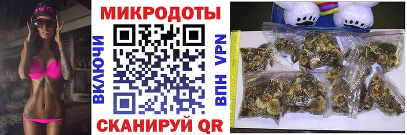 купить  цена  Приволжский  Псилоцибиновые грибы GOLDEN TEACHER 